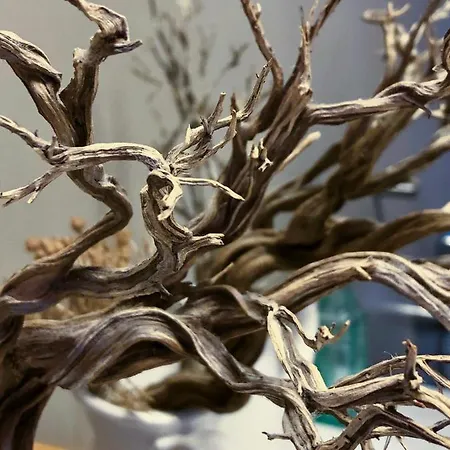 Ośrodek wypoczynkowy Lotos *