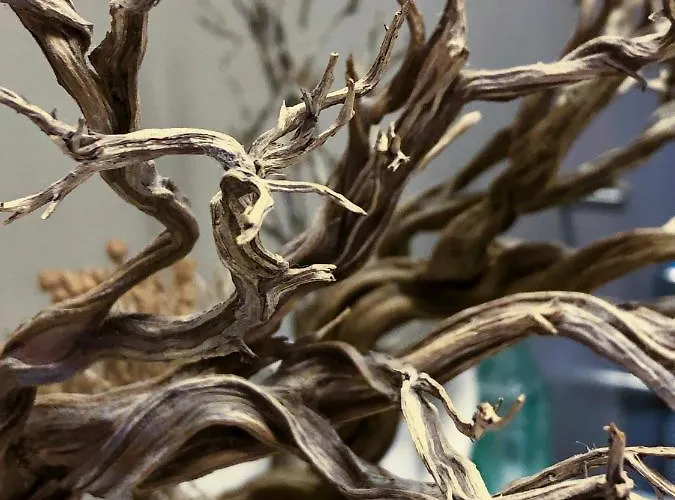 Semesteranläggning (resort) Lotos *